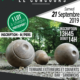 concours boule en bois 2019